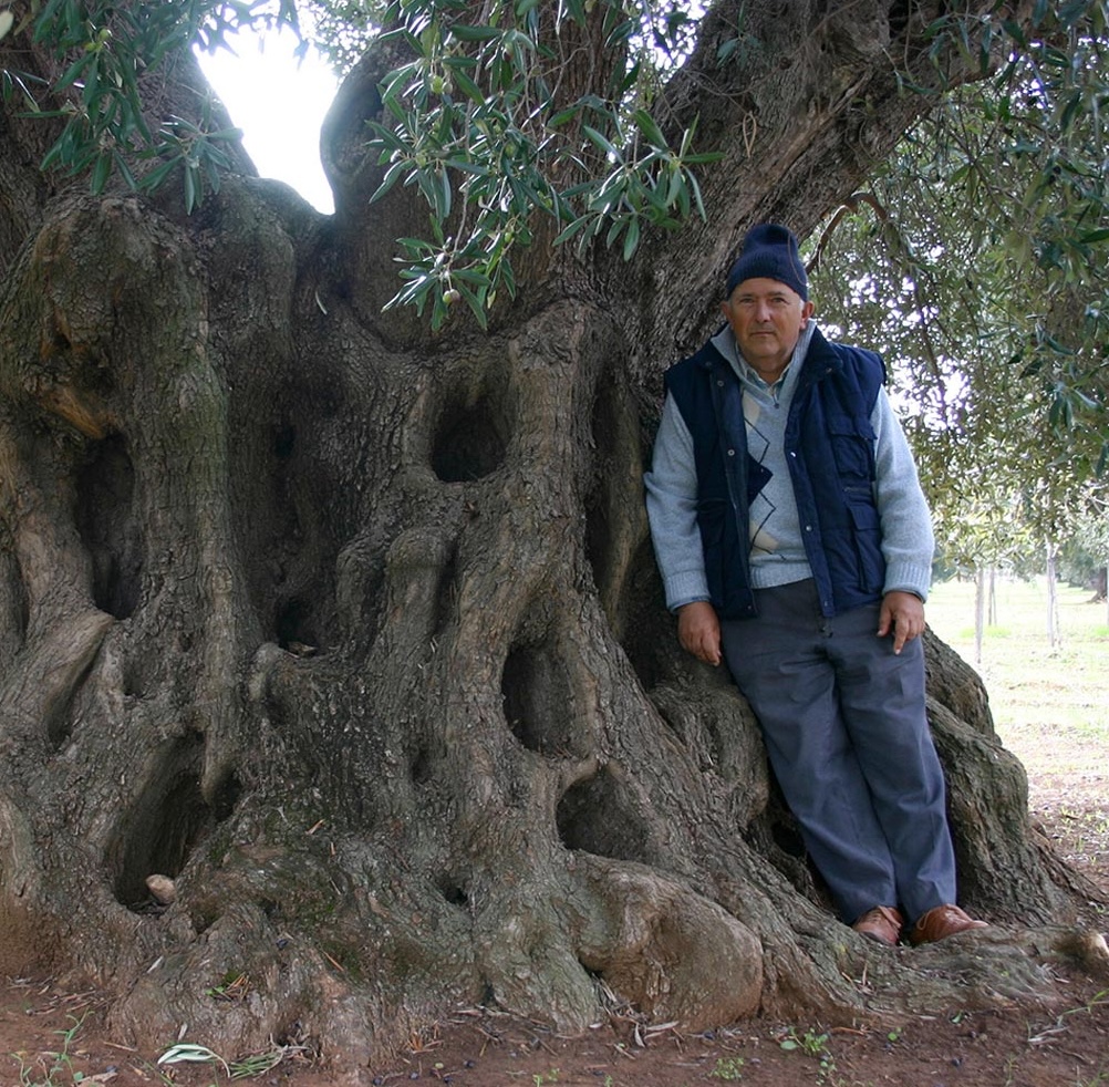 La famiglia Galiulo nell'oliveto storico de L'Olpe di Marco